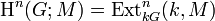 \mathrm{H}^n(G; M) = \mathrm{Ext}^n_{kG}(k, M)