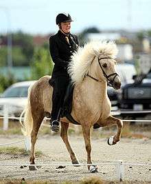 A tan colored horse with darker brown on its hindquarters being ridden in a dirt ring by a rider in black formal attire.