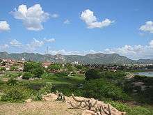 Greenery with a village in the background