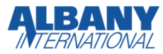 The word "Albany" in bolded sans-serif capitals of even stroke weight, with the right leg of the "A" becoming a descender, forming the diagonal of the "N", in the word "International" below, oblique in a much more lightweight stroke. Both words are rendered in dark blue.