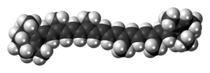 Space-filling model