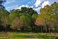 Alsos Akadimias green national park Nicosia Republic of Cyprus.jpg