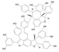 Chemical structure of amurensin E