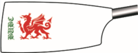 Image showing the rowing club's blade colours