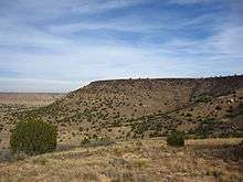 A flat-topped hill covered with yellow prairie grass and dotted with green bushes.