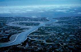 A wide river moving through a plain, with many tributaries joining along its length