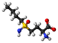 Ball-and-stick model of buthionine sulfoximine as a zwitterion