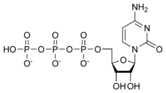 Skeletal formula of cytidine triphosphate as an anion (3- charge)