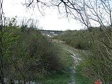 Cherry Hinton Chalk Pits