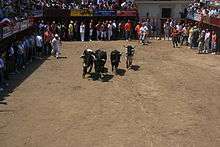 Coria bull-running square. Public square with multilevel seating around all four sides. In the centre of the square are four bulls, coming this way.