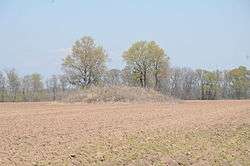 Coy Mound Site