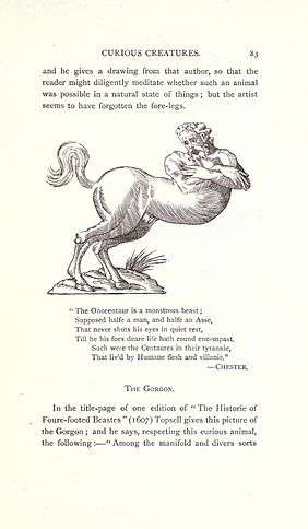 Onocentaur from Curious Creatures in Zoology by John Ashton, 1890.