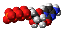 Space-filling model of the cytidine triphosphate molecule as an anion (4- charge)