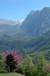 A small village in the middle of dense vegetation. Huge cliffs can be seen on the background right.