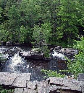 Dells of the Eau Claire County Park