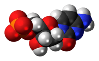 Space-filling model of the deoxycytidine monophosphate molecule as an anion (2- charge)