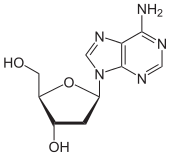 Skeletal formula of deoxyadenosine