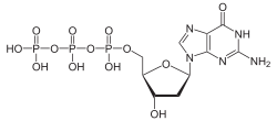 Skeletal formula of deoxyguanosine triphosphate