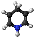 Ball-and-stick model of the dihydropyridine molecule