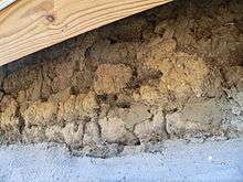 Close-up of sod blocks.  Grass still visible on undersides