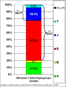  Y DNA Haplogroups of Ethiopia alt text