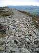 Garn Boduan Hillfort - geograph.org.uk - 276317.jpg