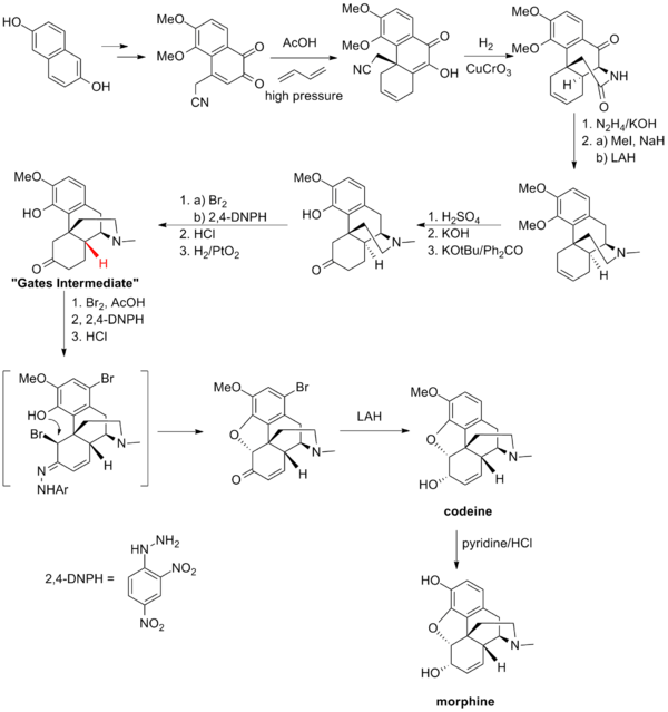 The Bates synthesis