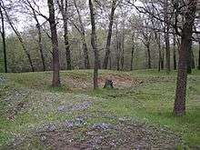 Gee's Slough Mound Group