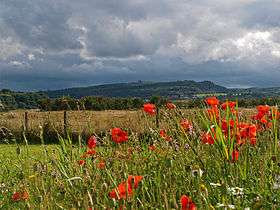 The view of Gillies Hill, Scotland, taken from beneath Stirling Castle