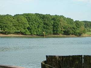 Yellow "X" marks shipwreck River Hamble – Grace Dieu rests in peace under the yellow marker