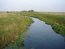 Almost stationary water in a narrow stream in a flat landscape