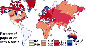 Multicolored world map