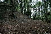 A track through a small wood, with a stone viaduct pillar on the left.