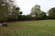 Grass field with sheep, red ironstone face on far side.