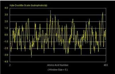 Hydropathy plot