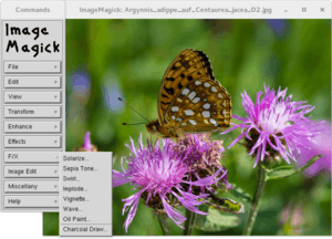 ImageMagick 6.0.6 in Knoppix 4.0.2