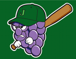 Jamestown Jammers cap insignia