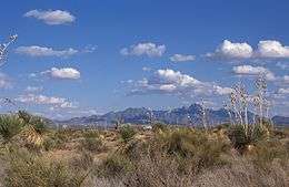 Grasslands and shrubs in the foreground beneath a deep blue sky with mountains in the distance