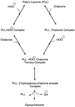 Ternary Complex Formation in the Juliá–Colonna Epoxidation