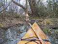 Kayak and beaver work.jpg