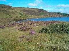 Loch Arail in late summer, heather in bloom