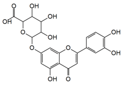 Chemical structure of luteolin-7-O-glucuronide