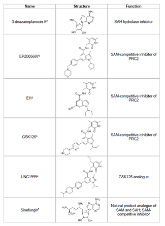 EZH2 Inhibitors