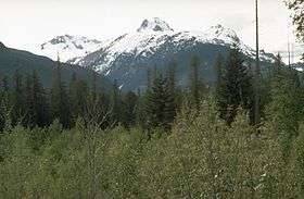 A glaciated mountain rising over trees.