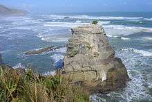 Wild coast and gannet colony - Motutara Island