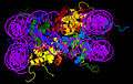 Nucleosome core particle 1EQZ v.3.jpg