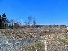 A bare expanse of untended grass and shrubbery with some bits of stone embedded in the ground. At left is a patch of gravel and at bottom center the remnant of a curb. In the background, at center left, are some bare trees, evergreens and a telephone pole