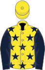 Yellow, dark blue stars and sleeves, yellow cap