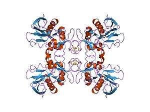 Cartoon representation of the molecular structure of SpeA1.