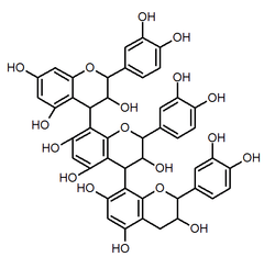 Chemical structure of procyanidin C2